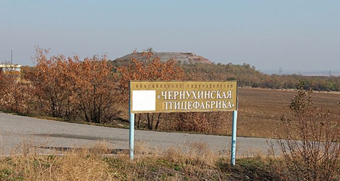 Чернухинская птицефабрика в Луганской области разрушена обстрелами на 30-40%