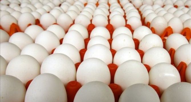 Предпасхальный подарок: в Харькове дешевеют яйца