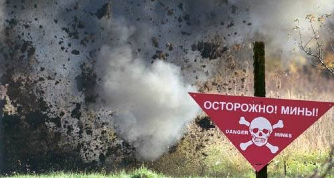 Житель Луганска, пытаясь пересечь линию разграничения огня, подорвался на растяжке