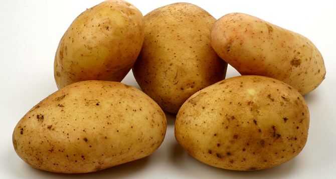 ООН выдала селянам Донецкой области по 100 кг картофеля
