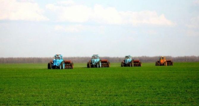 В Антрацитовском районе выполнили план по ранним зерновым на 164%