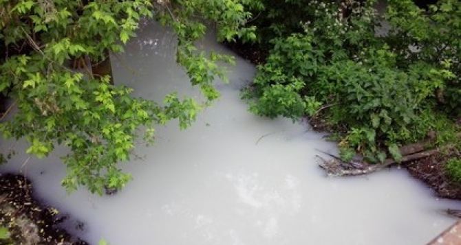 Экологи объяснили, почему вода в реке Роганка под Харьковом стала молочно-белой