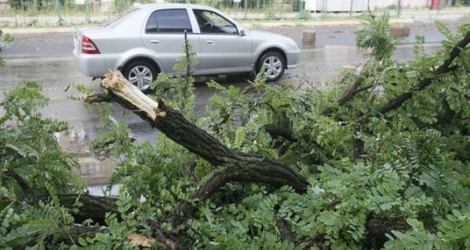Последствия ураган в Луганске: повреждены здания «Луганскгаза» и «Луга-Новы»
