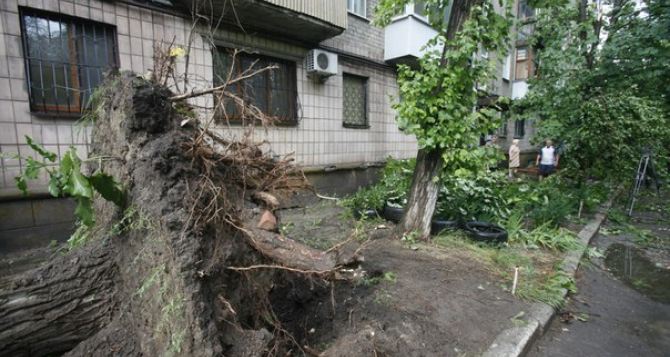 Последствия урагана в Луганске ликвидируют 50 спасателей и 15 единиц техники