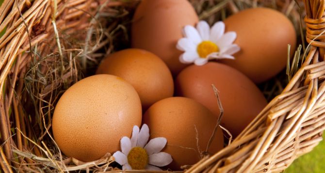 Две птицефабрики обеспечивают население ЛНР куриными яйцами