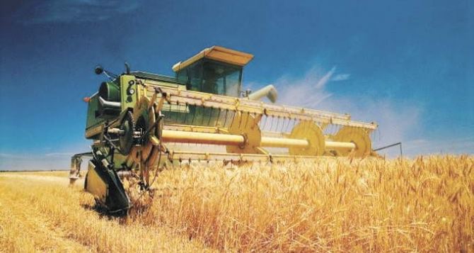 Аграрии самопровозглашенной ЛНР собрали 17 тыс. тонн зерна