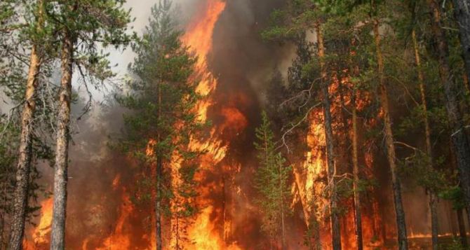 В Харьковской области чрезвычайная пожарная опасность