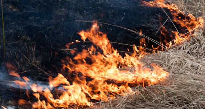 В результате обстрела в Новоазовском районе выгорело около  га полей