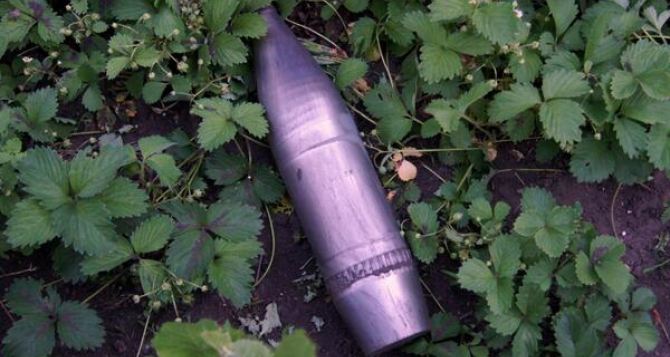 На овощной базе в Луганске нашли склад крупнокалиберных снарядов