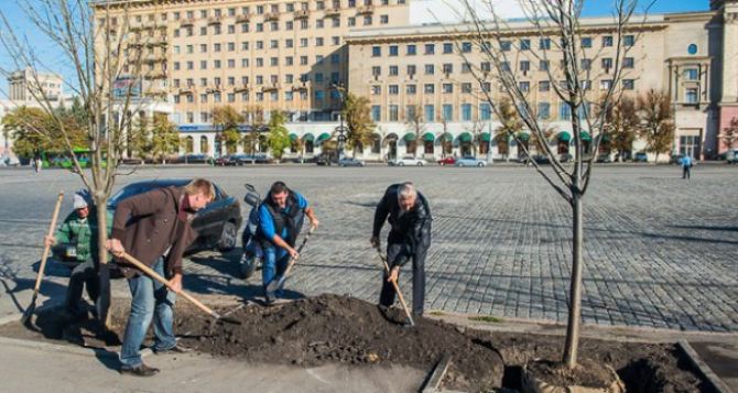 В Харькове началась осенняя высадка деревьев