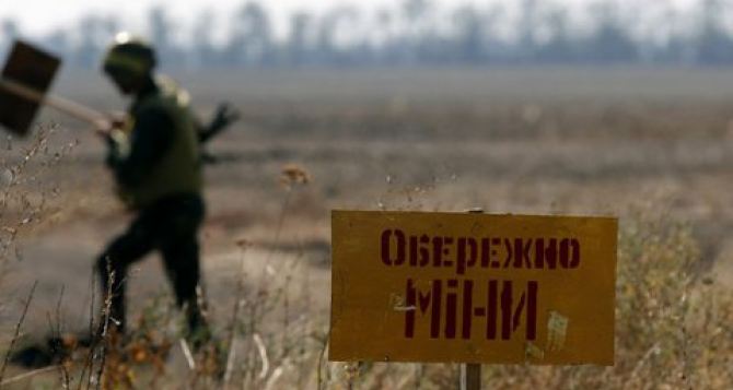 ОБСЕ способствует проведению разминирования на Донбассе