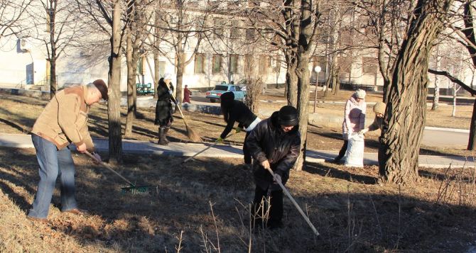 В Алчевске проходит акция «Чистый город» (фото)