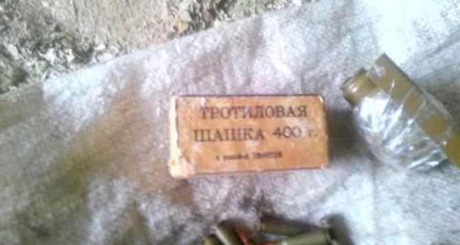Возле Трехизбенки обнаружили тайник с противопехотными минами (фото)