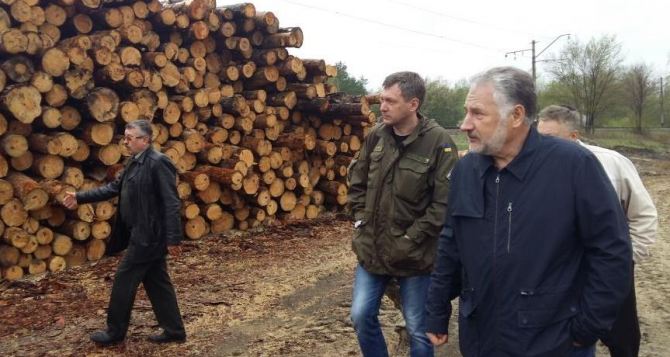 В Донецкой области воссоздают леса