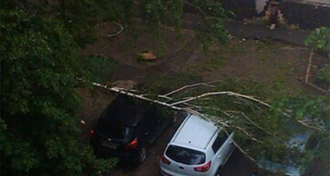 В Харькове прошел сильный ливень с ураганным ветром (фото)