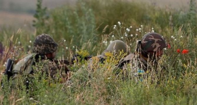 ВСУ передвинули позиции более чем на километр вглубь «серой зоны».  - ДНР