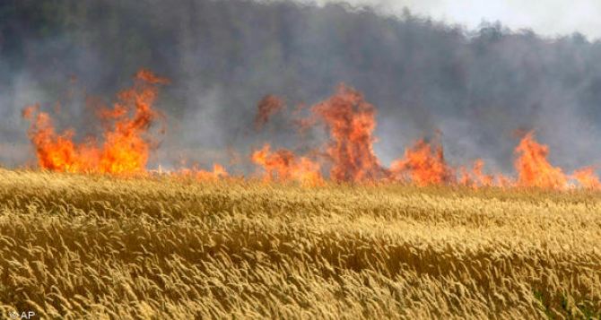 В Станично-Луганском районе ликвидировали масштабное возгорание сухой травы