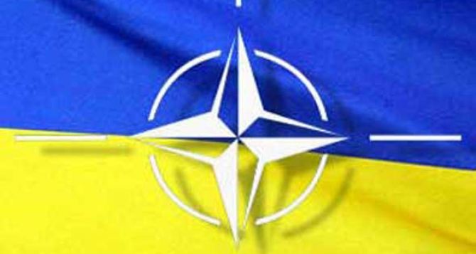 НАТО ждет от Украины отчет по реализации «Минска-2». — СМИ