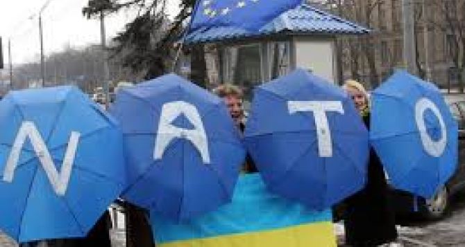 Почти 80% украинцев за вступление в НАТО.  - Опрос