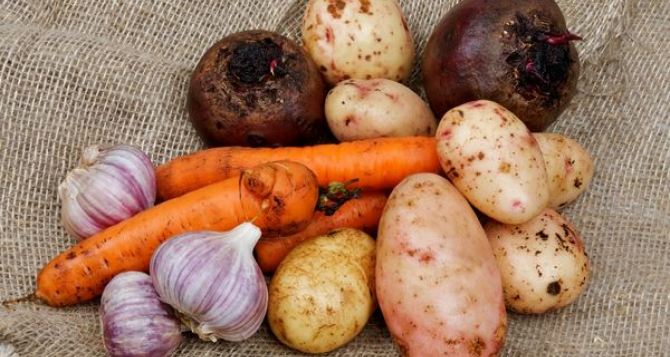 В самопровозглашенной ЛНР снизились цены на свеклу, морковь и картофель