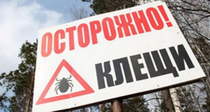 В Харькове клещи заразили 19 людей болезнью Лайма