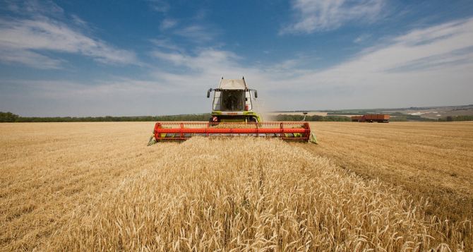 Аграрии Луганской области намолотили боле 900 тысяч тонн зерна