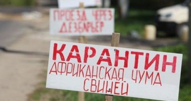 В Харькове объявлен карантин из-за африканской чумы свиней