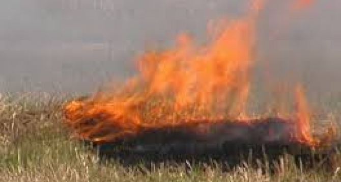 В Харьковской области объявлен чрезвычайный уровень пожароопасности