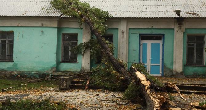 Непогода в Донецке повалила деревья и повредила жилые дома