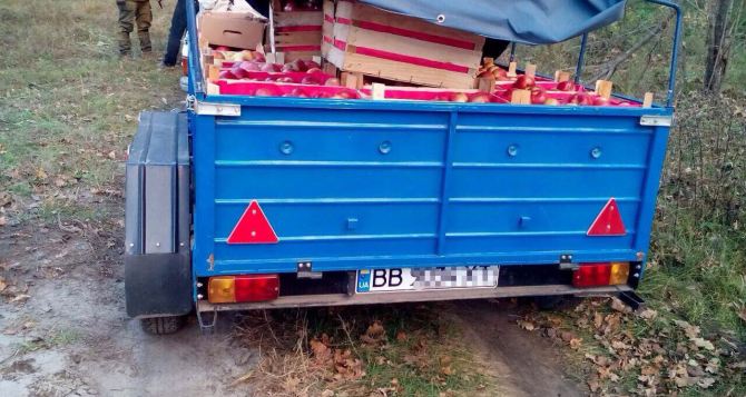 В Трехизбенке задержали груз овощей, незаконно следующий в ЛНР (фото)