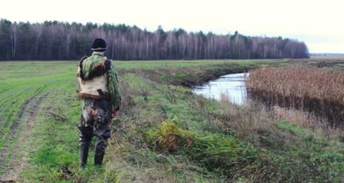 В Донецкой области не будут открывать охотничий сезон