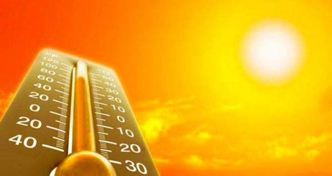 К 2025 году аномальная жара станет нормой. — Ученые
