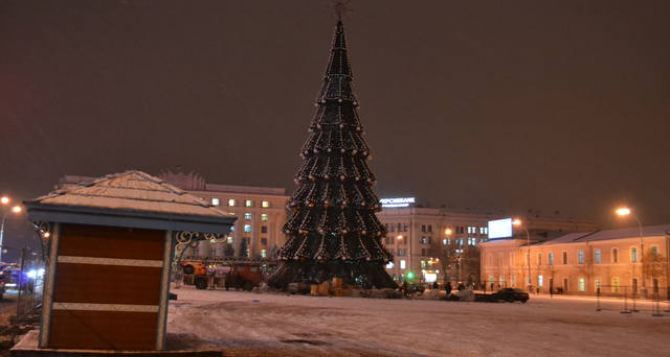 В Харькове установили главную городскую елку (фото)