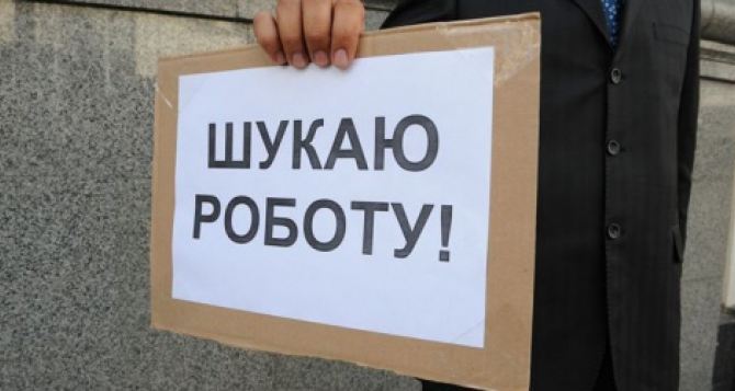В Донецкой области на одно свободное рабочее место претендует 14 человек