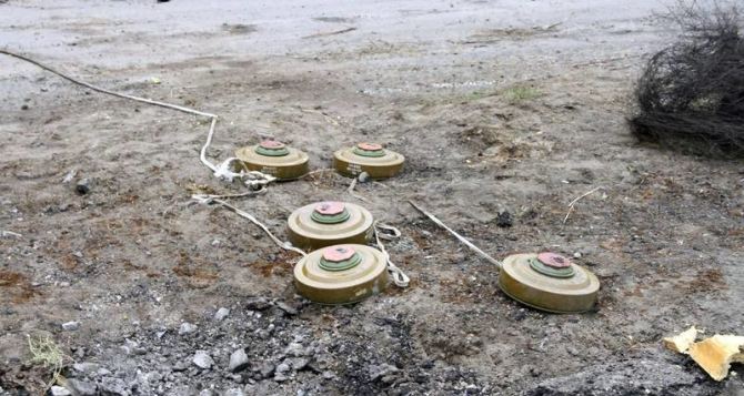 ОБСЕ требует убрать минные поля на линии разграничения на Донбассе