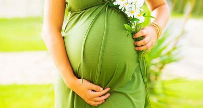 Триместры беременности. Как развивается ваш ребенок?!