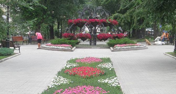В Донецке планируют высадить больше 700 тысяч цветов