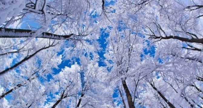 В Харьковской области ожидается резкое понижение температуры воздуха  до 26 градусов мороза