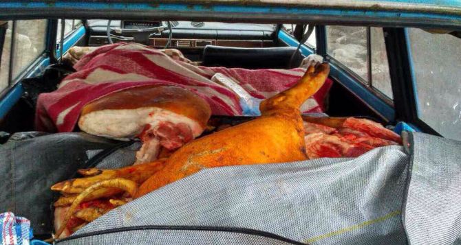 Жительницу Станицы Луганской поймали на попытке переправить в ЛНР 500 кг мяса (фото)