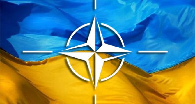 Вступление в НАТО поддерживают 72% украинцев. — Опрос