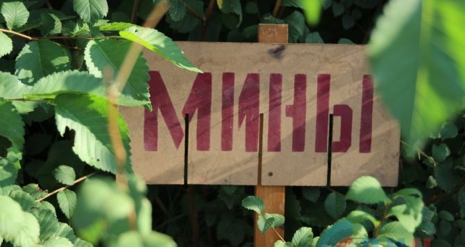 В Луганской области за неделю обнаружили 105 взрывоопасных предметов