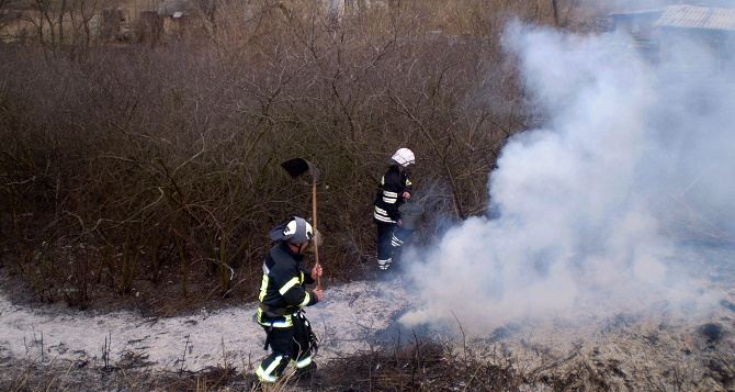 В Луганской области за сутки произошло 13 возгораний сухой травы