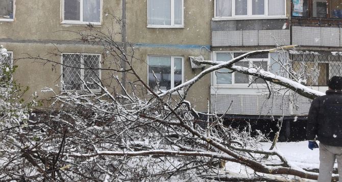 В Харькове из-за непогоды обесточено 40 многоквартирных домов