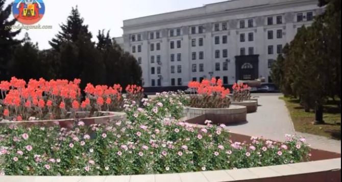 В Луганске из фонтана на Театральной площади сделали розарий (видео)
