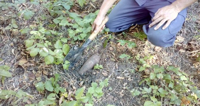 В Луганской области за сутки обнаружили 110 взрывоопасных предметов