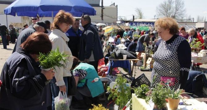 В Луганске впервые прошла ярмарка на рынке «Луганский базар» (видео)