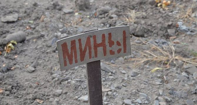 Стороны конфликта должны предоставить карты минных полей. — ОБСЕ