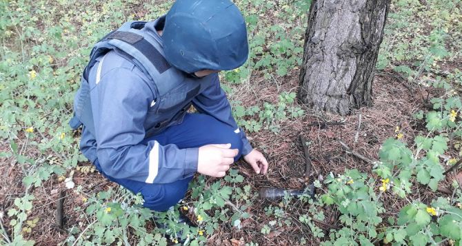 В Луганской области за сутки обнаружили 122 взрывоопасных предмета