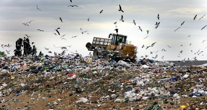 В Луганске ликвидировали 562 стихийные мусорные свалки