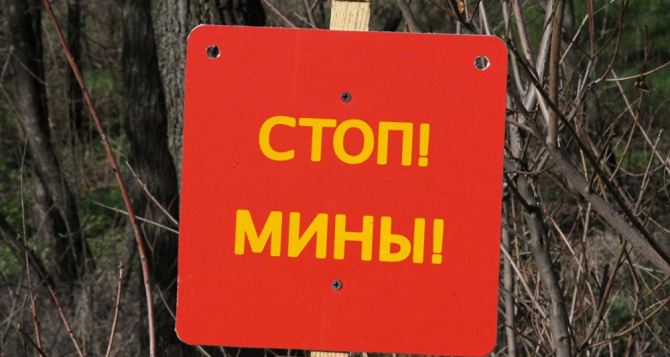В поселке Зеленая Роща на неизвестном устройстве подорвался житель Луганска